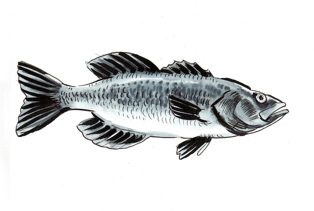 Desenho a tinta e aquarela de um peixe no fundo branco