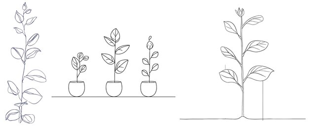 Foto desenho contínuo de uma linha processo de crescimento das plantas