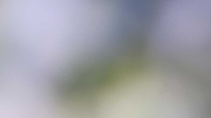 Foto desenho de fundo com mistura de gradientes sutis