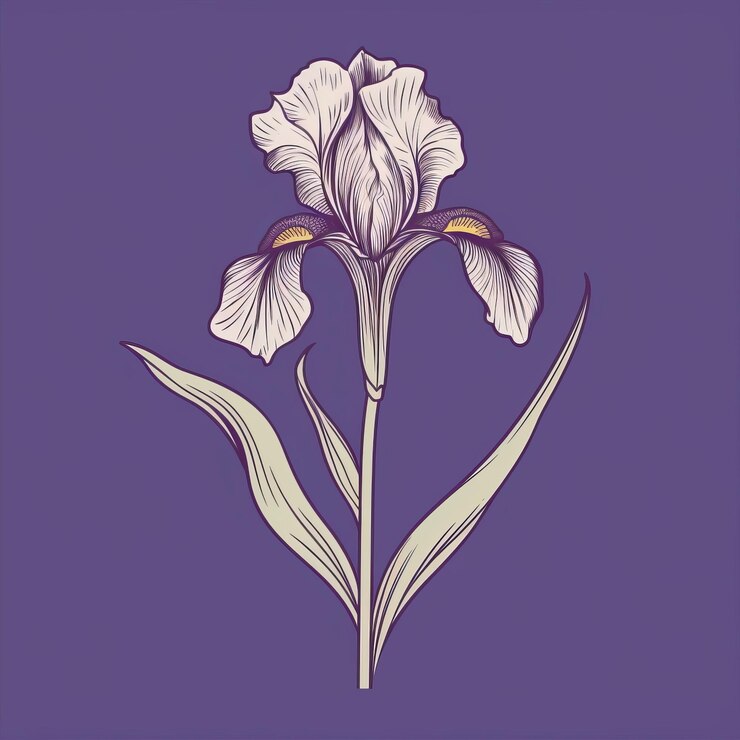 Foto desenho de íris minimalista em fundo violeta ilustração botânica encantadora e elegante