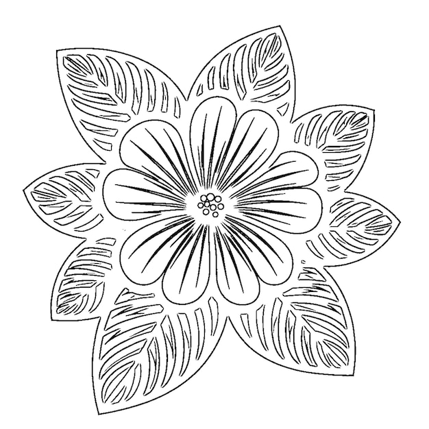 desenho de mandala floral