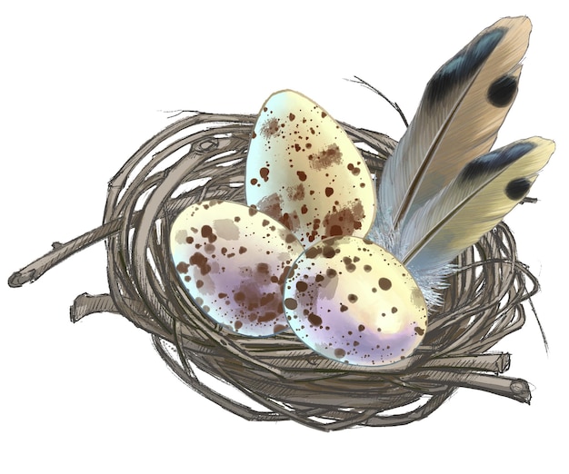 Desenho de ovos manchados na natureza