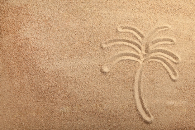 Desenho de palmeira na areia.