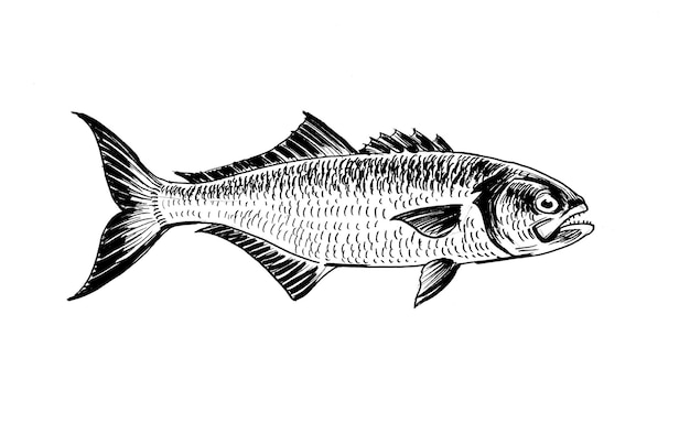 Desenho de tinta de peixe preto e branco