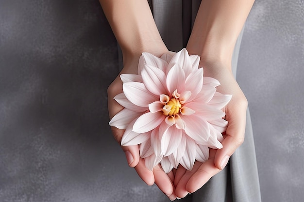 Desenho de unha branca nas mãos de uma mulher segurando uma flor rosa de outono contra um fundo de tecido cinza