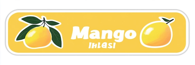 Desenho do rótulo da manga