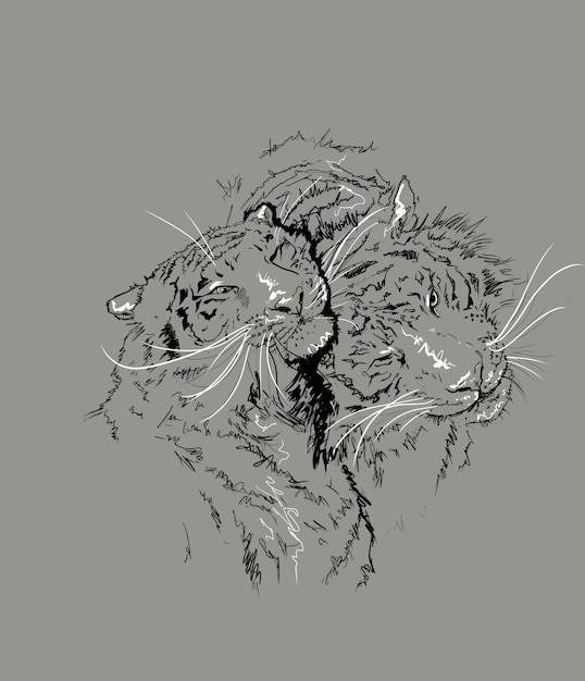 Desenho gráfico de dois tigres