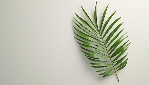 Desenho minimalista em 3D de uma folha de palmeira em estilo de corte de papel