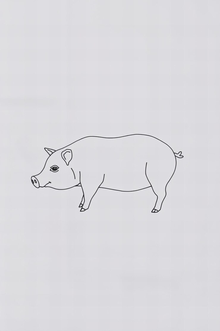 Foto desenho simples de uma linha de um porco