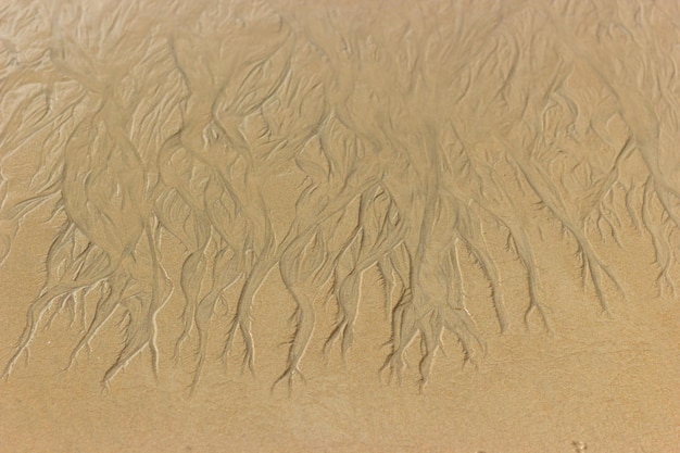 Foto desenhos de água na areia molhada da praia