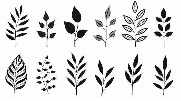 Desenhos únicos de folhas pretas e brancas com iconografia pessoal