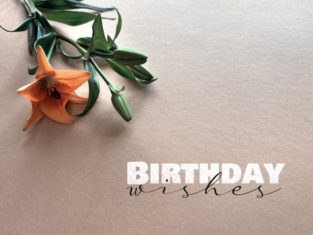 Deseos de cumpleaños minimalistas con lirio naranja en fondo beige