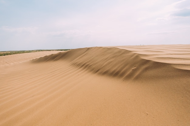 Deserto com dunas de areia em um dia ensolarado e claro. Paisagem do deserto.