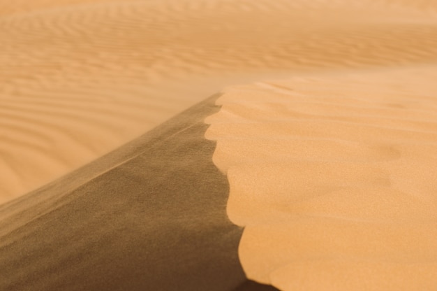 Deserto com dunas de areia em um dia ensolarado e claro. Paisagem do deserto.