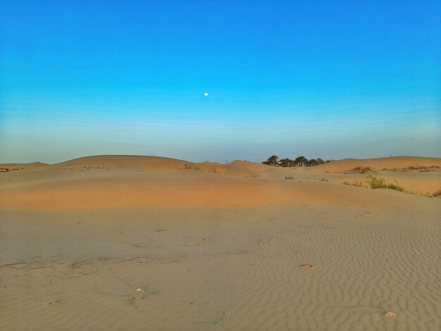 Foto deserto da argélia antes do pôr-do-sol