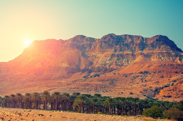 Deserto da Judéia em Israel ao pôr do sol