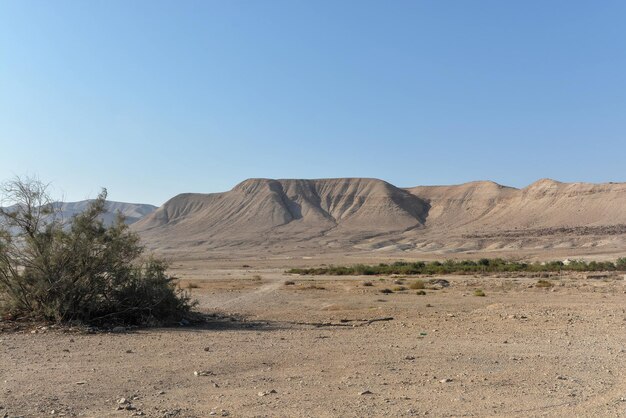 Deserto da Judéia em Israel