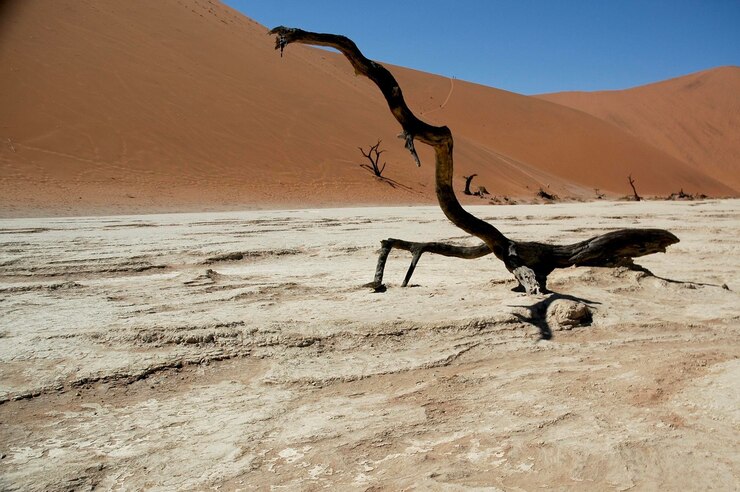 Foto deserto da namíbia