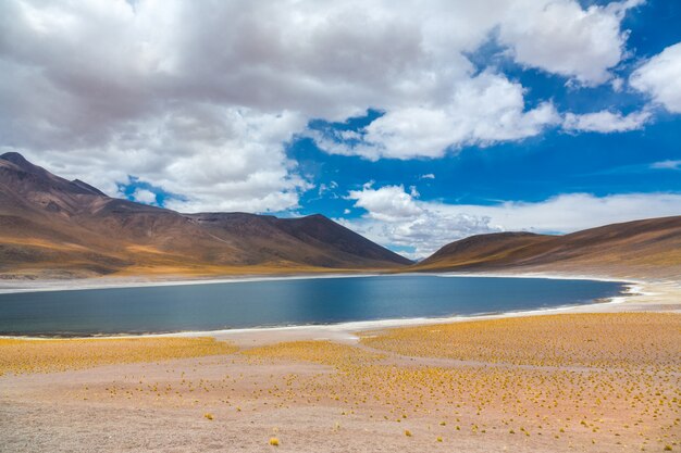 Deserto de Atacama Altiplana, lago de sal Laguna Miscanti e paisagem de montanhas, Miniques, Chile, América do Sul