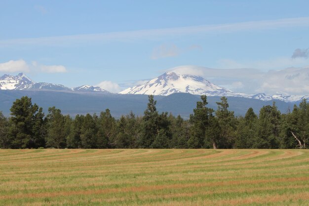 Deserto de Deschutes