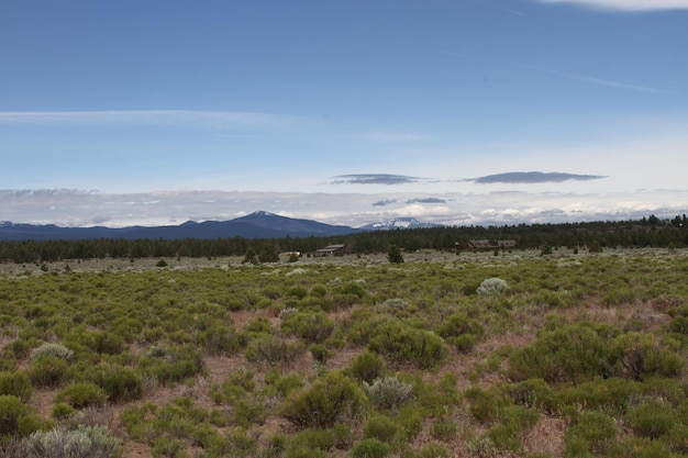 Deserto de Deschutes