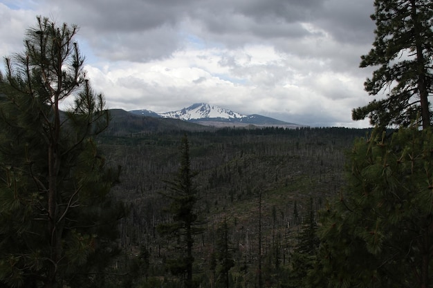 Deserto de Deschutes