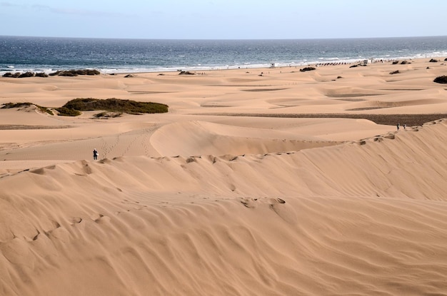 Deserto de Dunas de Areia em Maspalomas