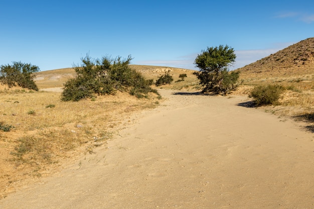 Deserto de gobi na mongólia