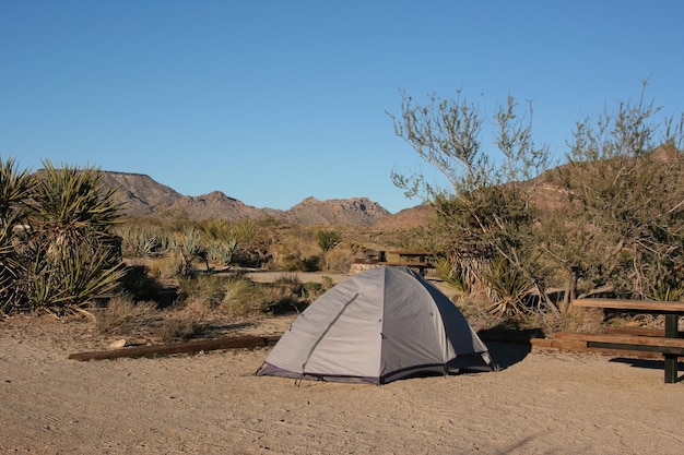 Deserto de Mojava Califórnia