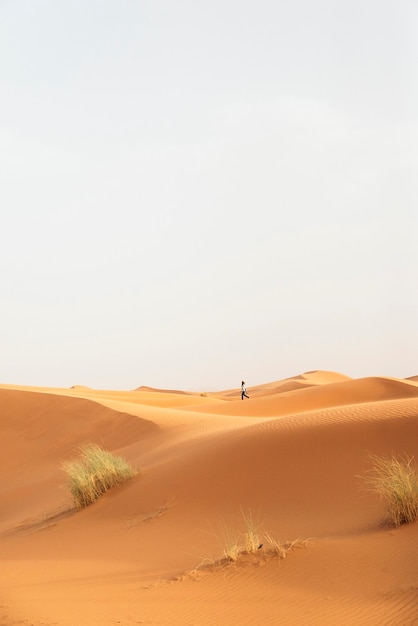 Deserto de ouro no pôr do sol. Marrocos.