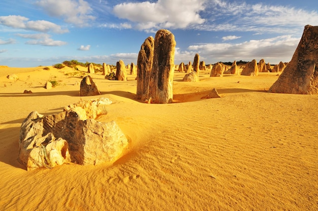 Deserto de Pinnacles Austrália Ocidental