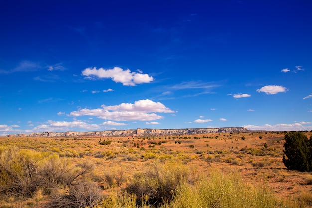 Deserto do Arizona na US 89 em um dia ensolarado