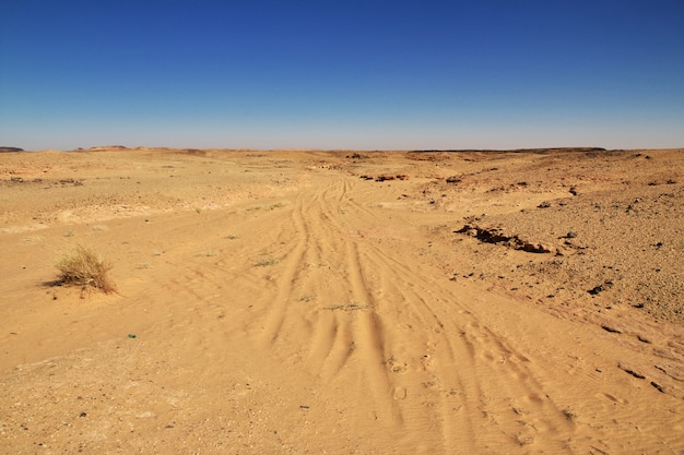 Deserto do Saara no Sudão, África