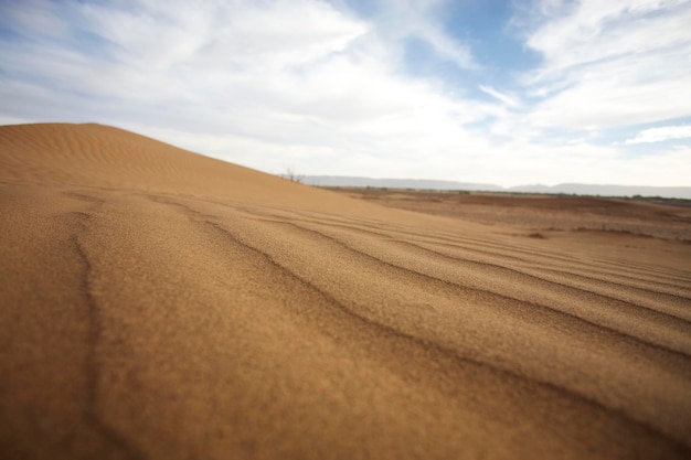 deserto do Saara