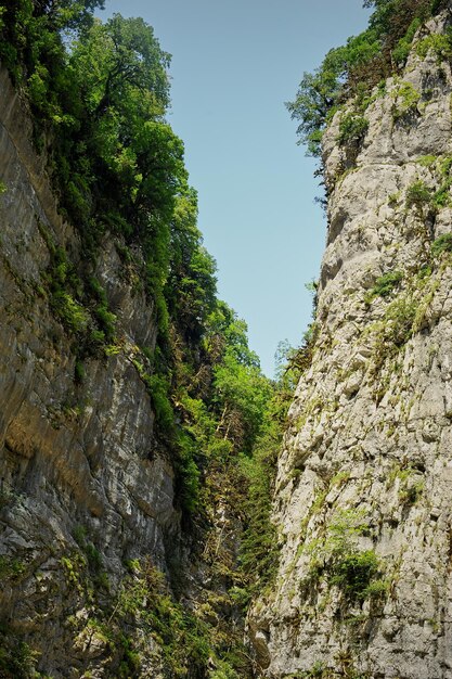 Desfiladeiro de montanhas com árvores crescendo nelas As montanhas da Abkhazia são os países da alma