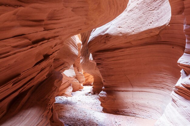 Desfiladeiro de ranhura no Parque Nacional Grand Staircase Escalante, Utah, EUA. Formações de arenito coloridas incomuns nos desertos de Utah são destinos populares para os caminhantes.