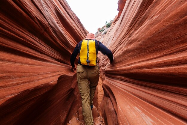 Desfiladeiro de ranhura no parque nacional grand staircase escalante, utah, eua. formações incomuns de arenito colorido nos desertos de utah são um destino popular para os caminhantes.