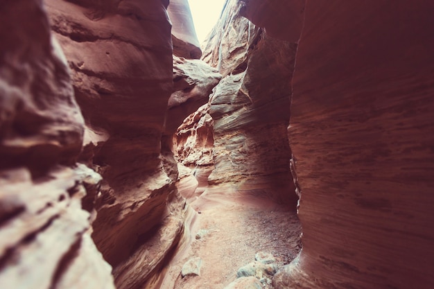 Desfiladeiro de ranhura no Parque Nacional Grand Staircase Escalante, Utah, EUA. Formações incomuns de arenito colorido nos desertos de Utah são um destino popular para os caminhantes.