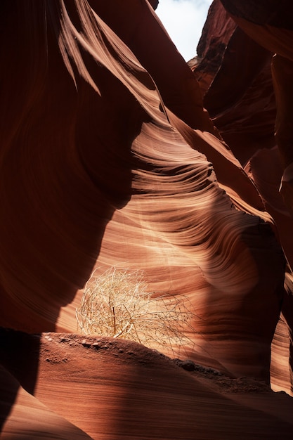 Desfiladeiro do antílope perto de Page, Arizona