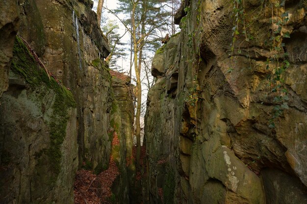 Foto desfiladeiro do diabo no eifel teufelsschlucht com enormes pedras e trilha de caminhada pelo desfiladeiro na alemanha