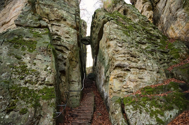 Foto desfiladeiro do diabo no eifel teufelsschlucht com pedras poderosas e trilha de caminhada no desfiladeiro na alemanha
