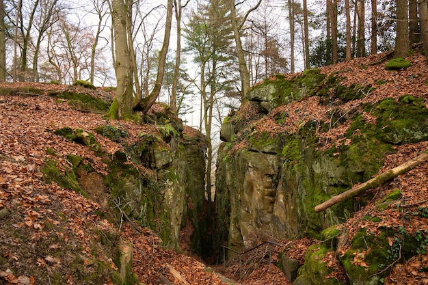 Foto desfiladeiro do diabo no eifel teufelsschlucht com pedras poderosas e trilha de caminhada no desfiladeiro na alemanha