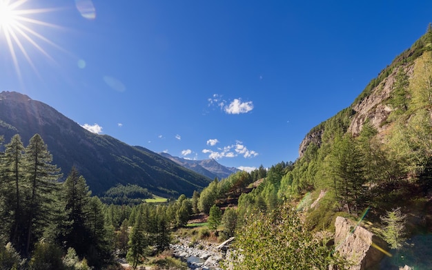 Desfiladero panorámico de montaña bosque de hoja perenne arroyo laderas alpinas iluminadas por el sol Gran Paradiso Parque Aosta