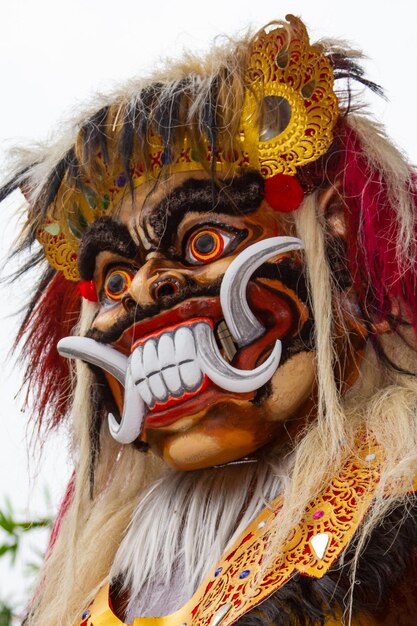 Foto desfile de ngrupuk de las estatuas de ogoh bali