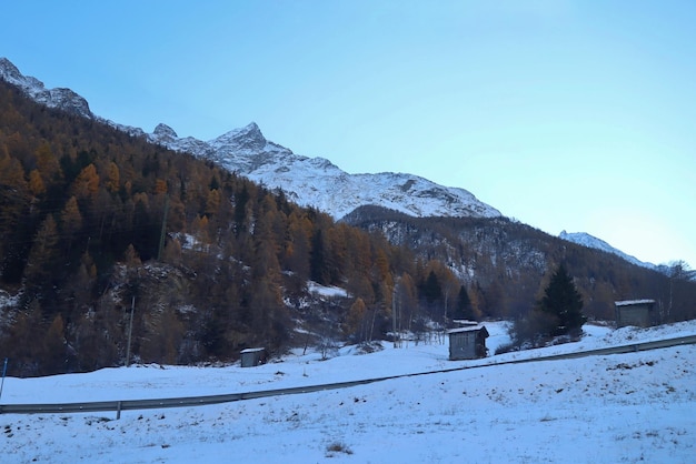 Foto desfocado da bela vista dos alpes suíços com pinheiro e montanha coberta de neve no inverno suíça