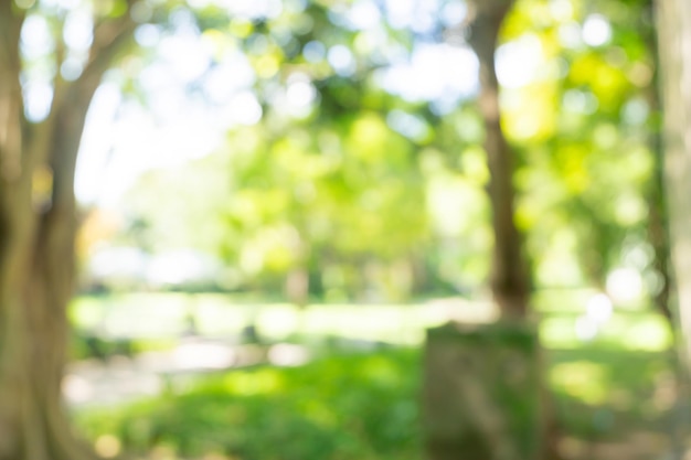 Desfocado ou desfocado com fundo bokeh de árvores de jardim em um dia ensolarado