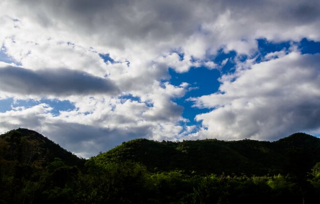 desfocar a imagem - vista das florestas na montanha com nevoeiro no céu azul com fundo de nuvem