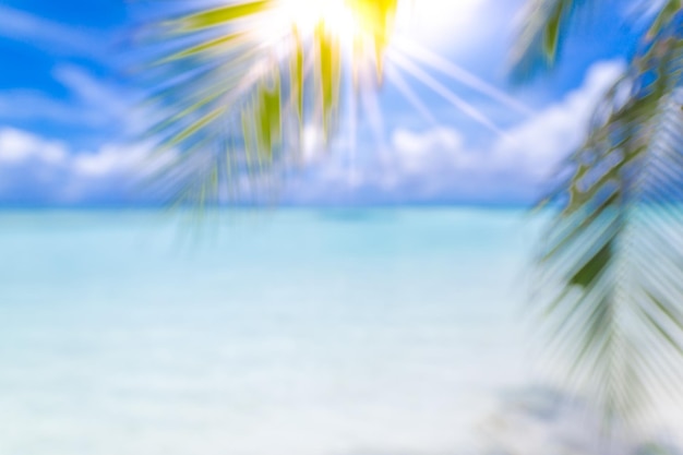 Desfoque a bela folha de palmeira verde da natureza na praia tropical com papel de parede abstrato de onda de luz solar bokeh