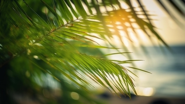Desfoque a bela natureza folha de palmeira verde na praia com bokeh luz do sol fundo IA geradora