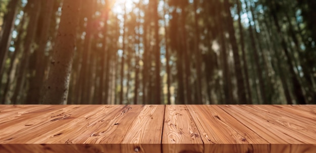 Desfoque a madeira de pinho da floresta profunda em alta montanha com placa de madeira em branco para produtos de aventura anunciando fundo de montagem